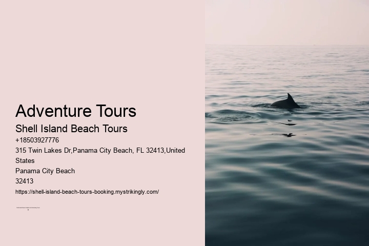 Adventure Tours Shell Island Beach Tours Adventure Tours