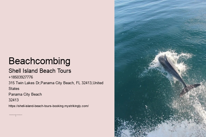 Shell Island Tours