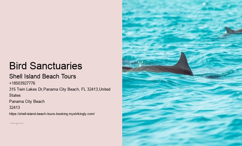 Sea Shell Boat Tours