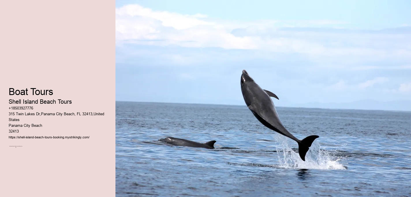 Boat Tours Shell Island Beach Tours Boat Tours
