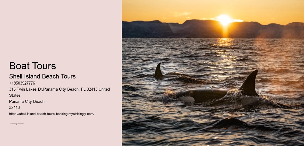 Coastal Wildlife Adventures