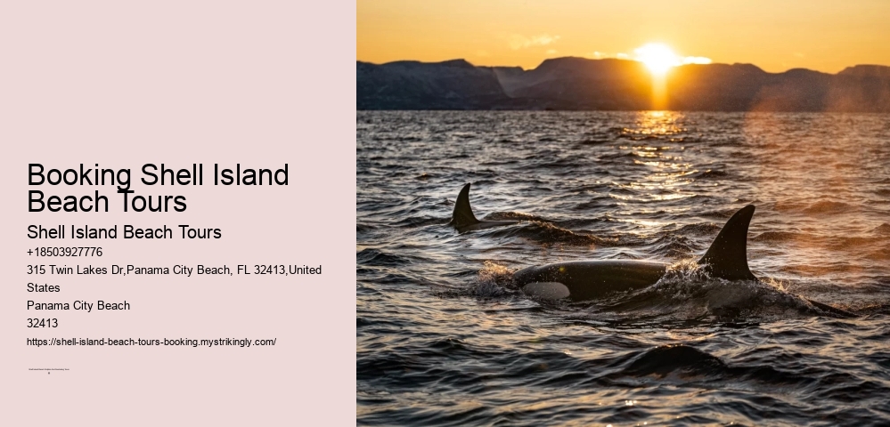 Booking Shell Island Beach Tours Shell Island Beach Tours Booking Shell Island Beach Tours