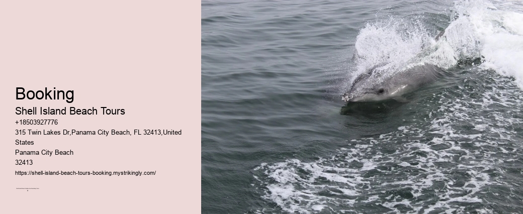 Coastal Wildlife Safaris