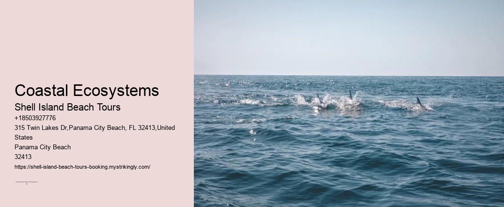 Seashore Exploration Trips
