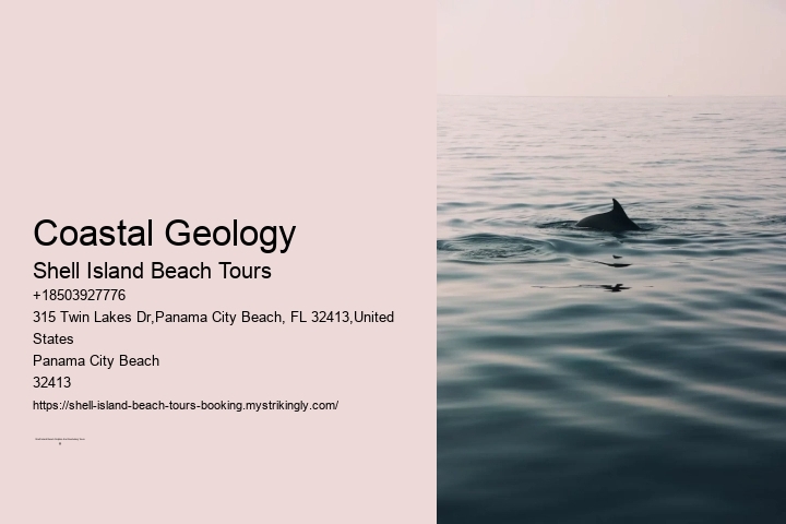 Coastal Geology Shell Island Beach Tours Coastal Geology