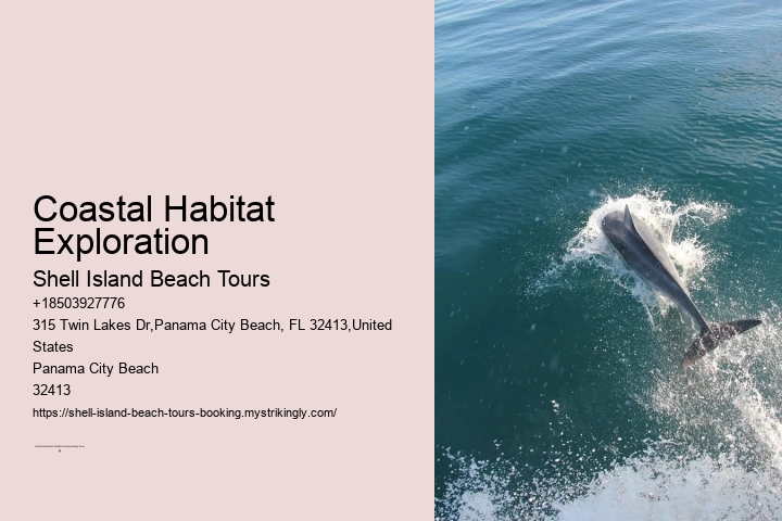 Guided Nature Walks