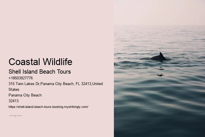 Coastal Wildlife Shell Island Beach Tours Coastal Wildlife