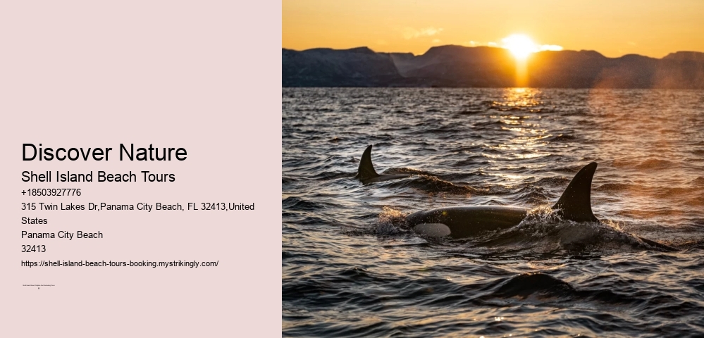 Coastal Wildlife