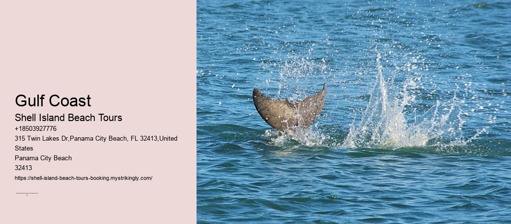 Marine Life Conservation