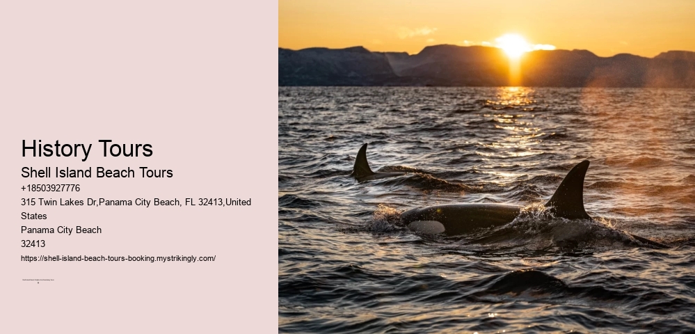 Marine Conservation Efforts