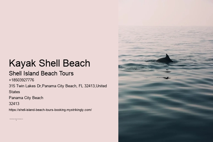 Dolphin Encounters