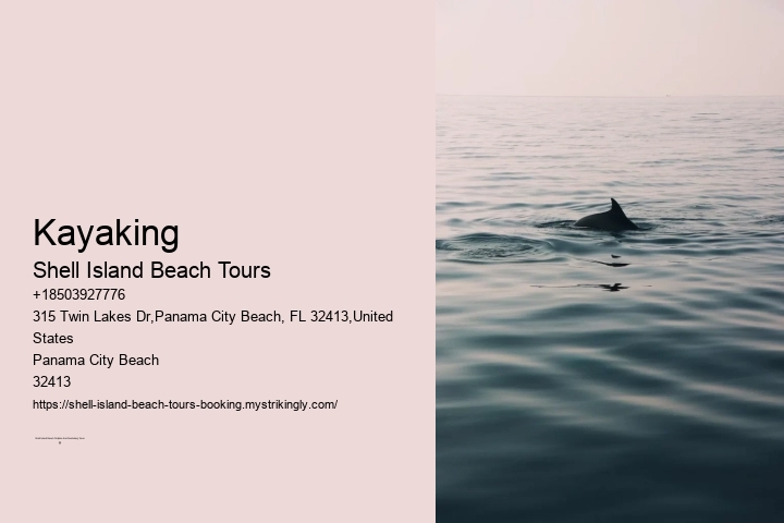Kayaking Shell Island Beach Tours Kayaking