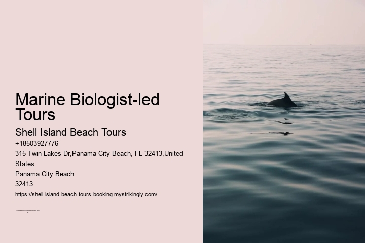 Marine Biologist-led Tours Shell Island Beach Tours Marine Biologist-led Tours
