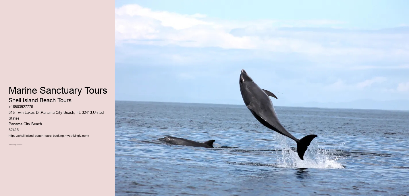 Marine Sanctuary Tours Shell Island Beach Tours Marine Sanctuary Tours