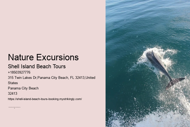 Seashore Discovery Adventures