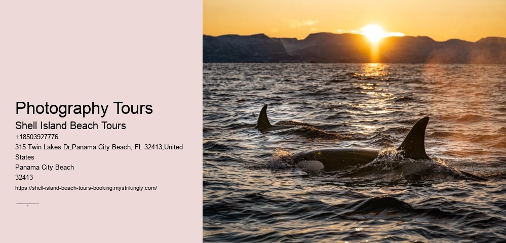 Marine Sanctuary Exploration