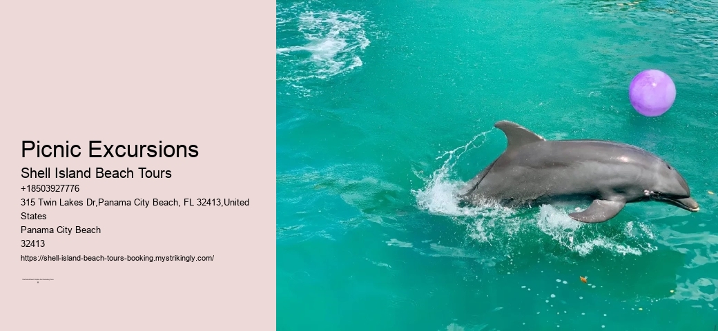Marine Biologist-led Tours