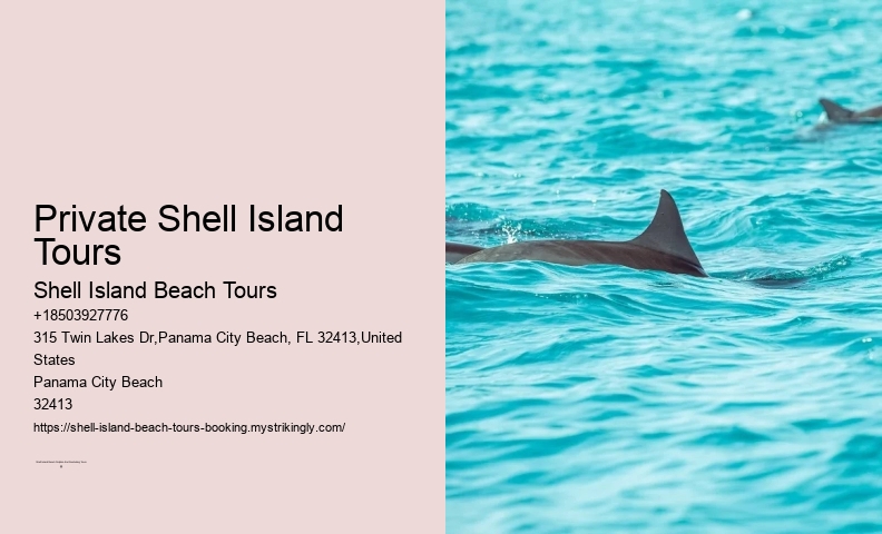 Recreational Sea Shell Collecting