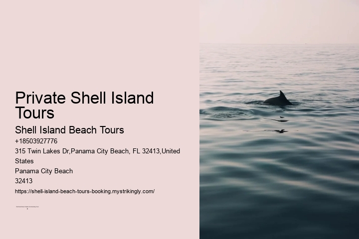 Private Shell Island Tours Shell Island Beach Tours Private Shell Island Tours