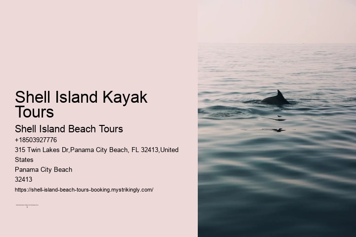 Shell Island Kayak Tours Shell Island Beach Tours Shell Island Kayak Tours
