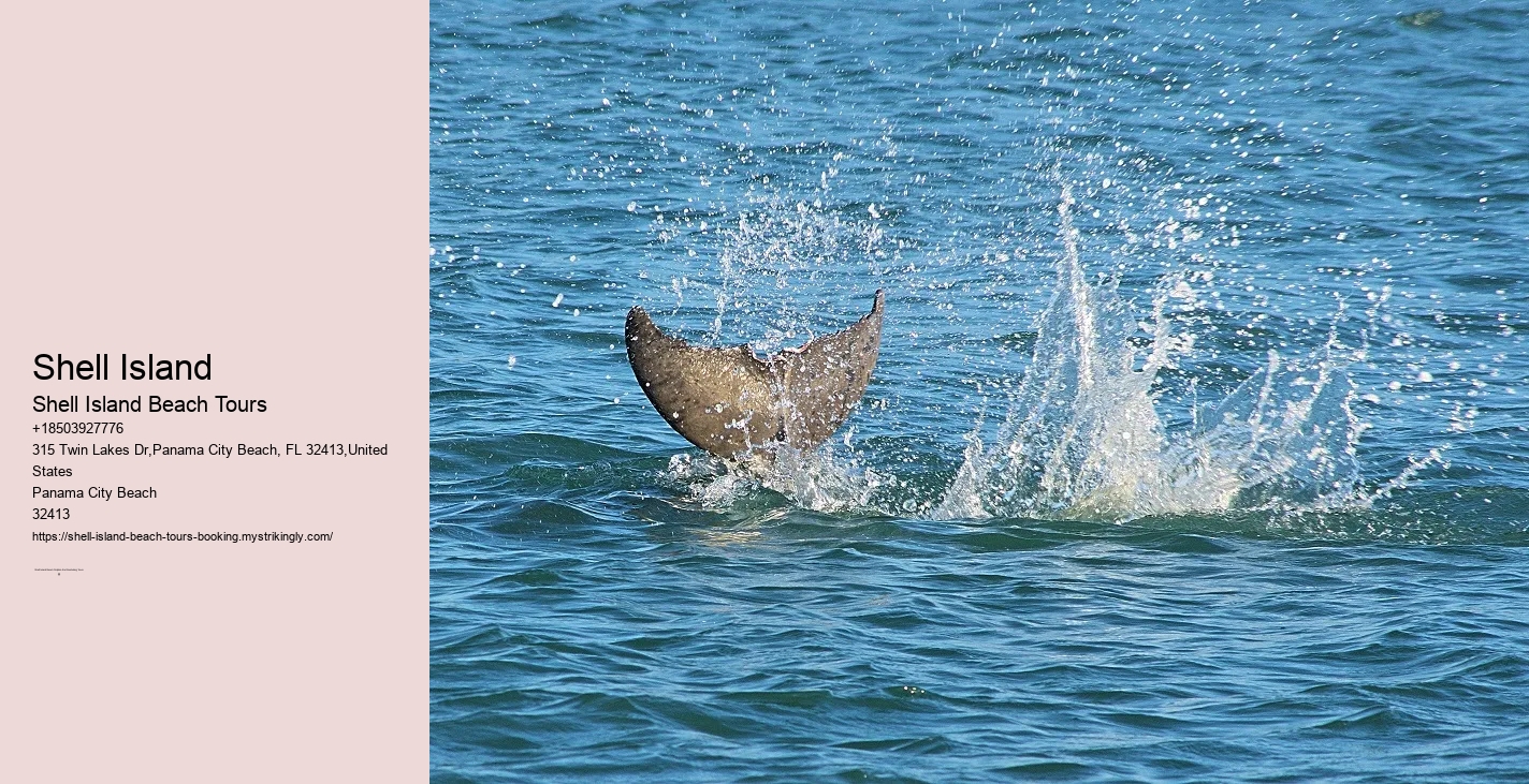 Shell Island Boat Tours