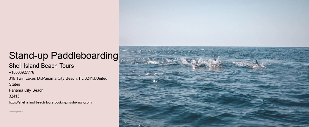 Stand-up Paddleboarding Shell Island Beach Tours Stand-up Paddleboarding