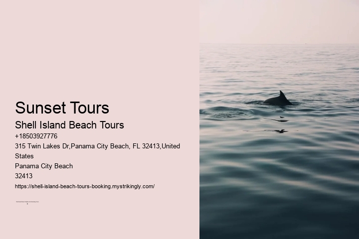Sunset Tours Shell Island Beach Tours Sunset Tours