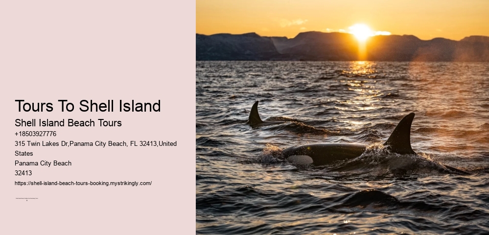 How To Get To Shell Island